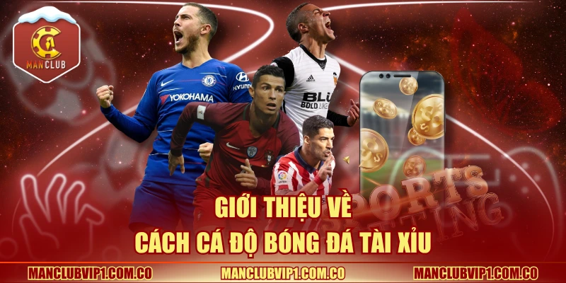 Giới thiệu về cách cá độ bóng đá tài xỉu 